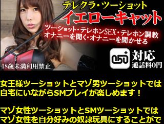 最新口コミランキング5位「イエローキャット」